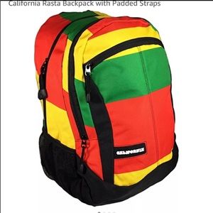 Rasta modern style & protection inside padded 15in